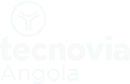Tecnovia Angola